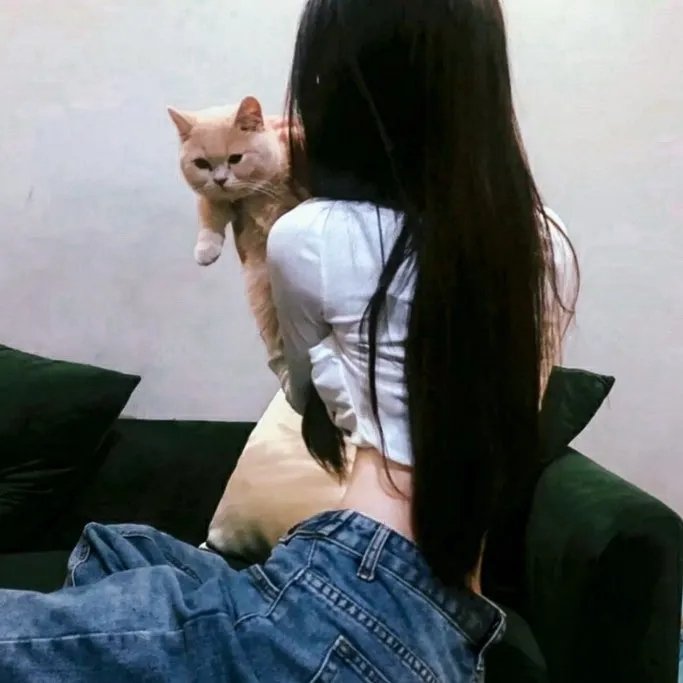 顽皮豹之子
